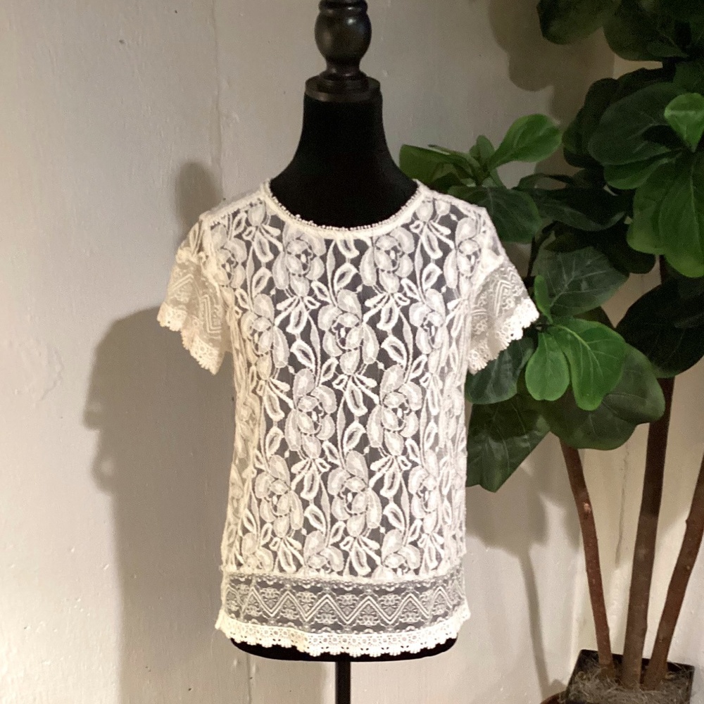 COPY - The Limited Sheer Lace Blouse
